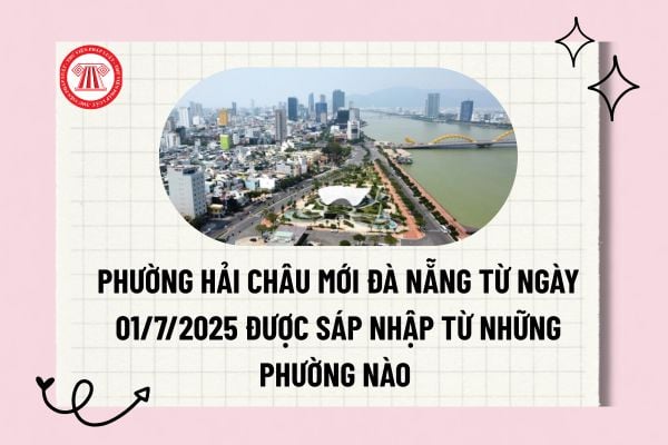 Pháp luật