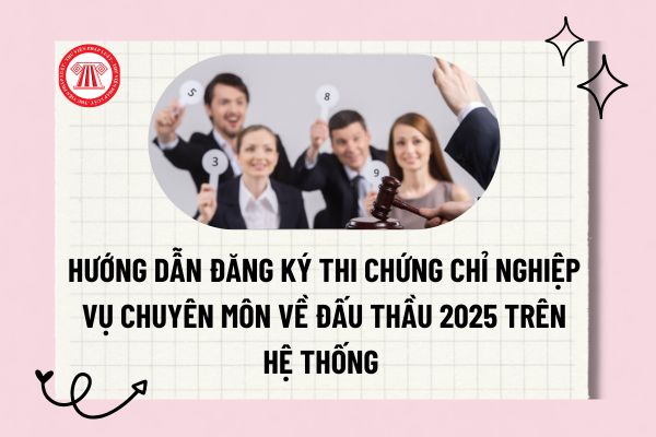 Pháp luật