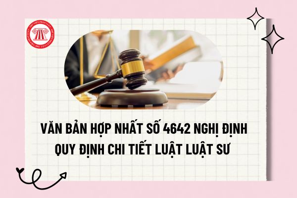 Pháp luật