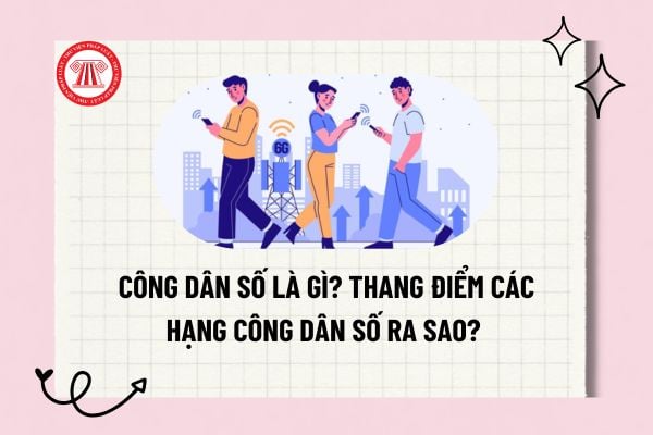 Pháp luật