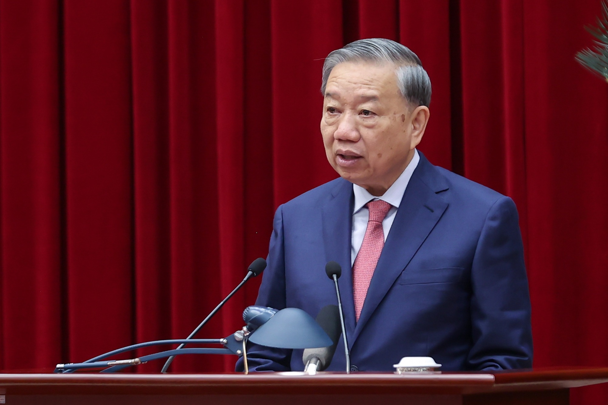 Pháp luật