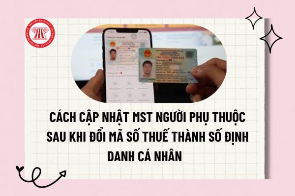 Pháp luật