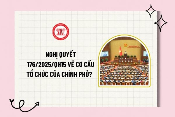 Nghị quyết 176/2025/QH15 về cơ cấu tổ chức của Chính phủ? Tải về toàn văn Nghị quyết 176/2025/QH15?