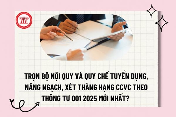 Trọn bộ Nội quy và Quy chế tuyển dụng, nâng ngạch, xét thăng hạng CCVC theo Thông tư 001 2025 mới nhất?