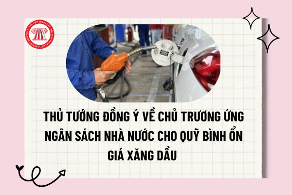 Pháp luật