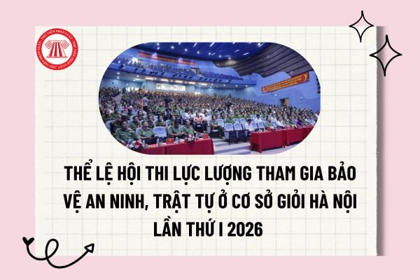 Pháp luật