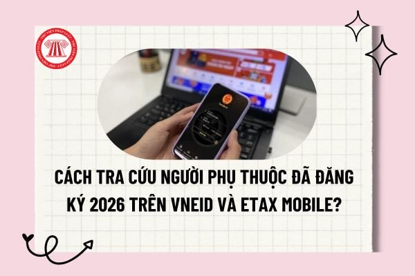 Pháp luật