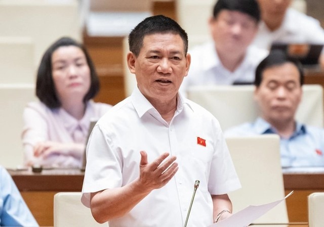 Pháp luật