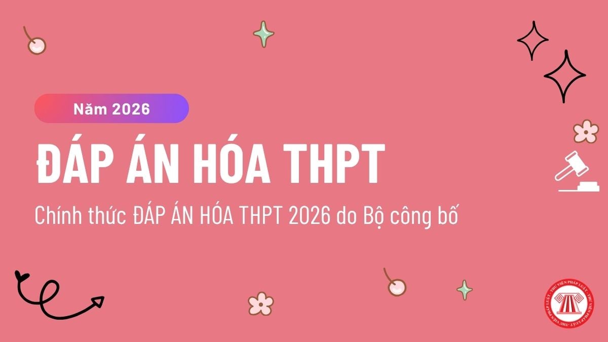 Pháp luật