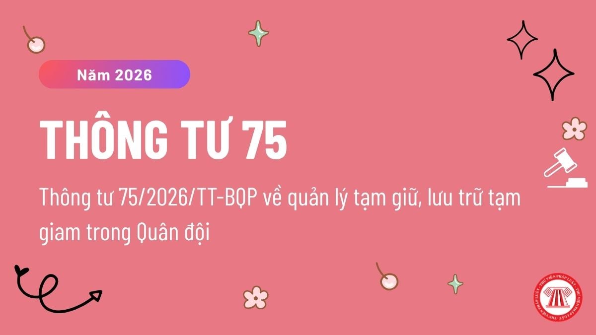Pháp luật