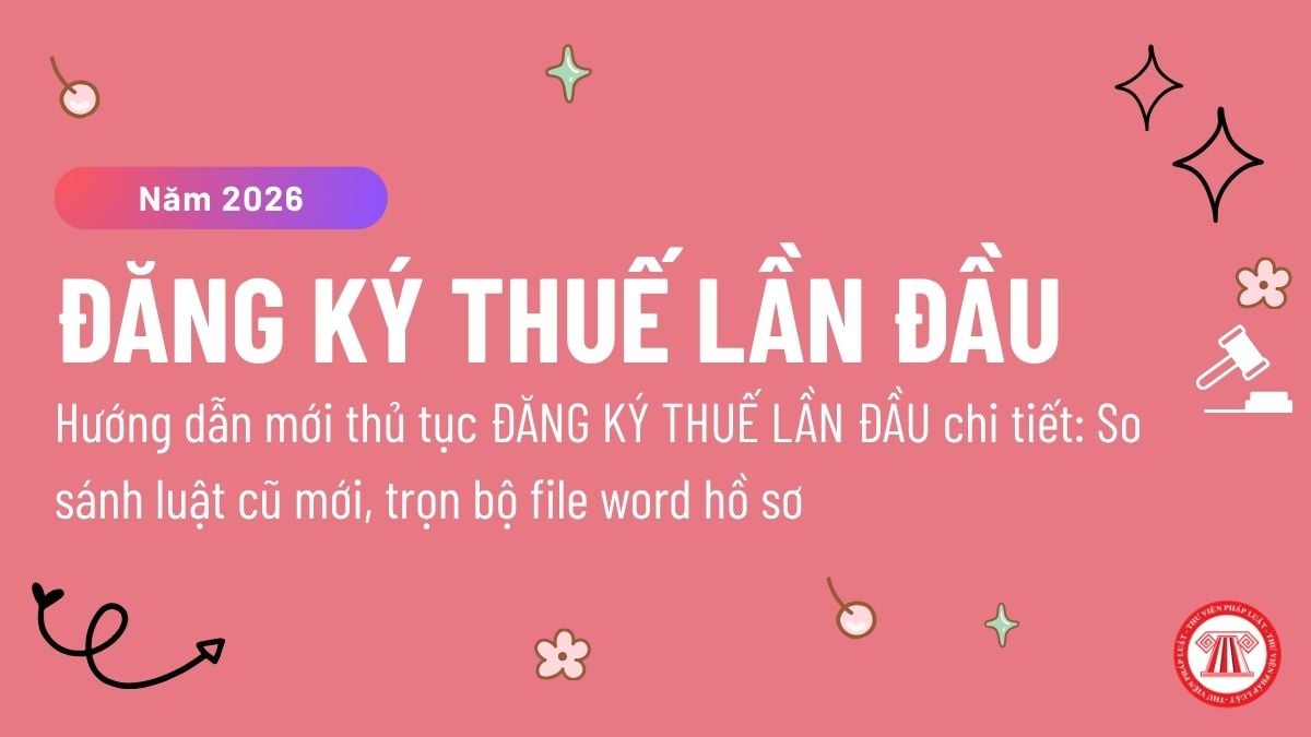 Pháp luật