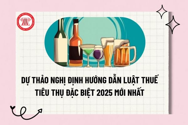 Dự thảo Nghị định hướng dẫn Luật Thuế tiêu thụ đặc biệt 2025 mới nhất? Tải về toàn văn dự thảo? 
