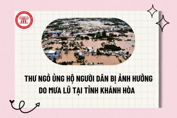 Pháp luật
