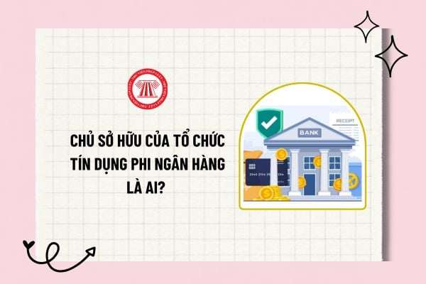 Chủ sở hữu của tổ chức tín dụng phi ngân hàng là ai? Điều kiện đối với chủ sở hữu là cổ đông sáng lập là gì?