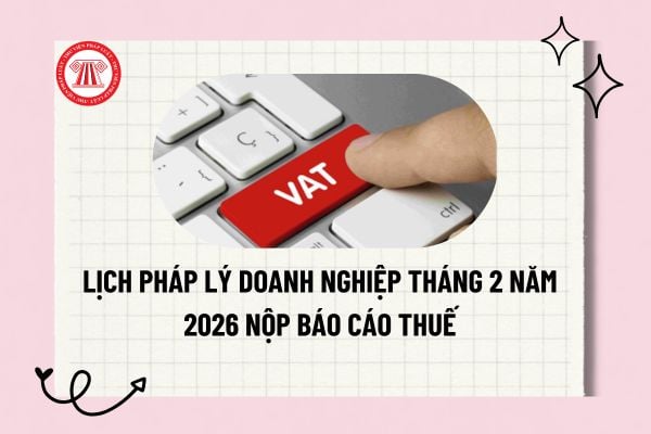 Pháp luật