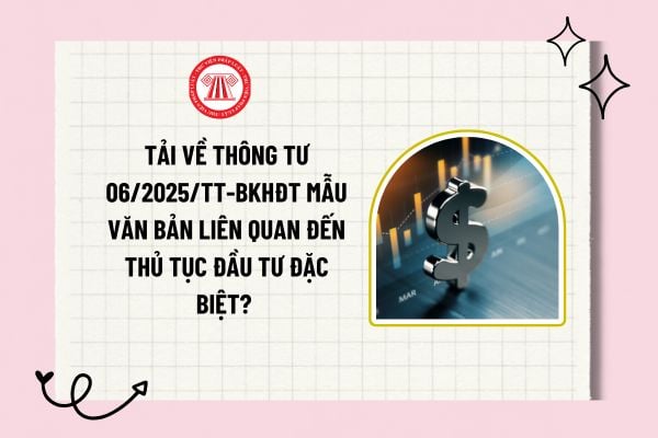 Tải về Thông tư 06/2025/TT-BKHĐT mẫu văn bản liên quan đến thủ tục đầu tư đặc biệt? Tải về trọn bộ?