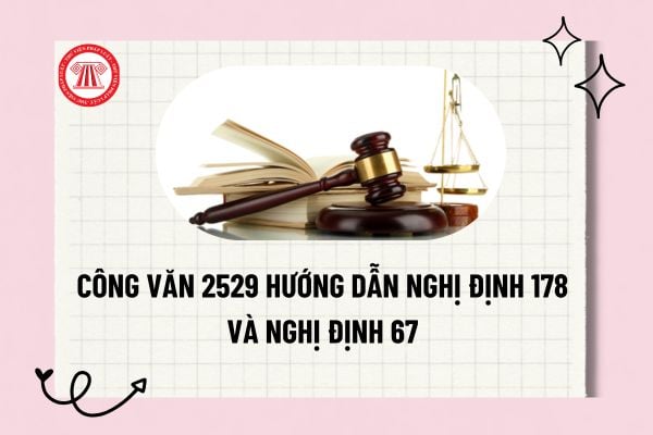 Pháp luật