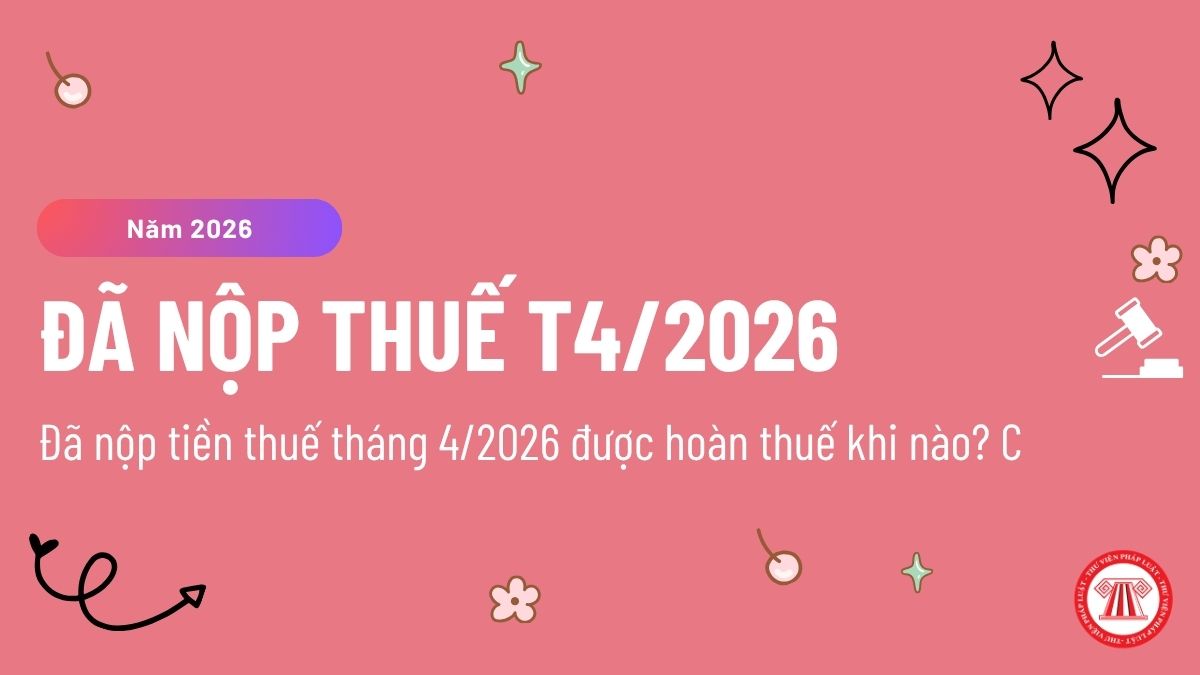 Pháp luật