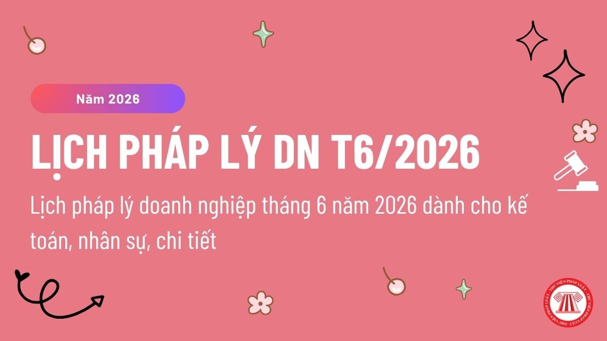 Pháp luật