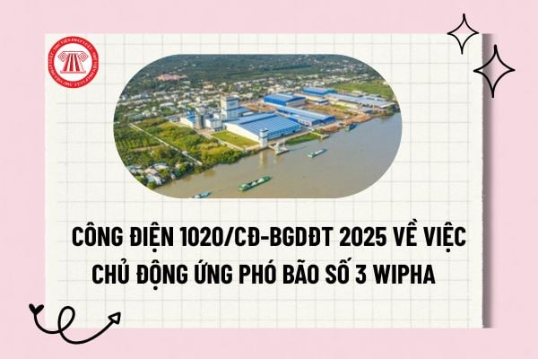 Pháp luật
