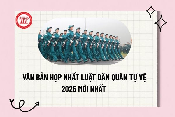 Pháp luật
