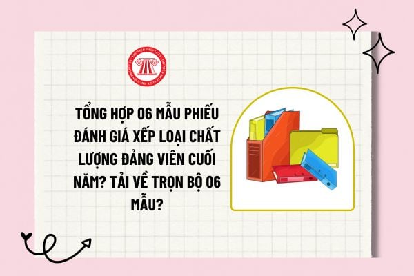 Tổng hợp 06 mẫu phiếu đánh giá xếp loại chất lượng đảng viên cuối năm? Tải về trọn bộ 06 mẫu?