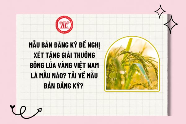 Mẫu Bản đăng ký Đề nghị xét tặng Giải thưởng Bông lúa vàng Việt Nam là mẫu nào? Tải về mẫu bản đảng ký? 