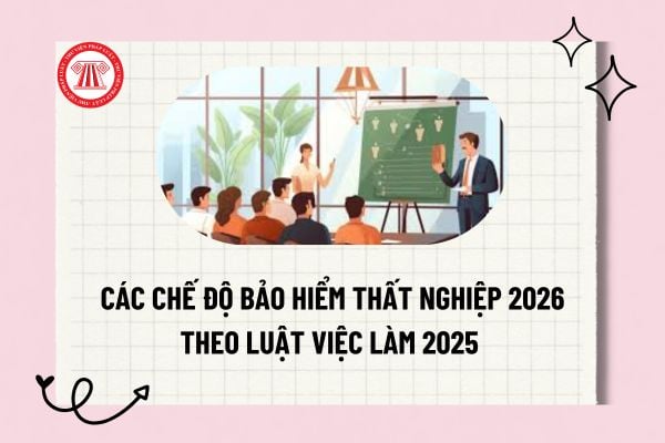 Pháp luật