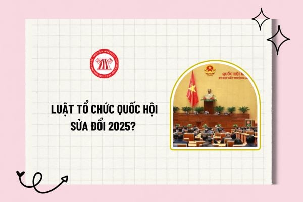 Luật Tổ chức Quốc hội sửa đổi 2025? Tải về Luật Tổ chức Quốc hội sửa đổi mới nhất? Hiệu lực thi hành?