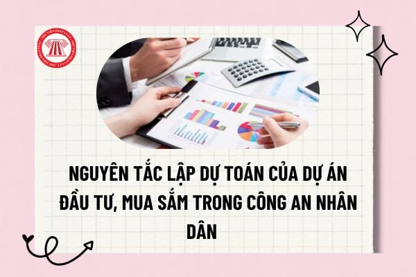 Pháp luật