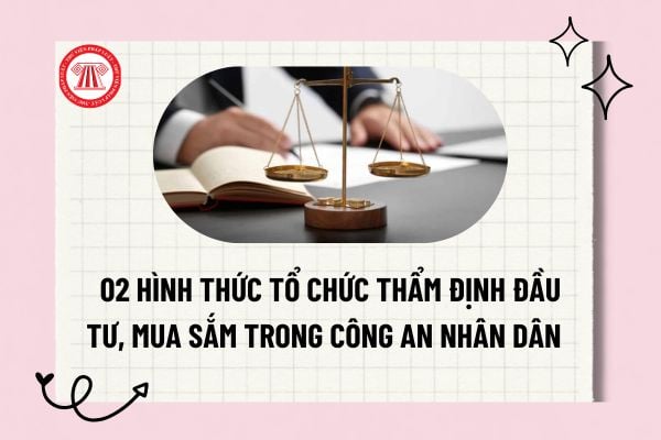 Pháp luật