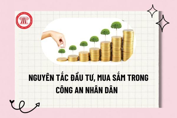 Pháp luật