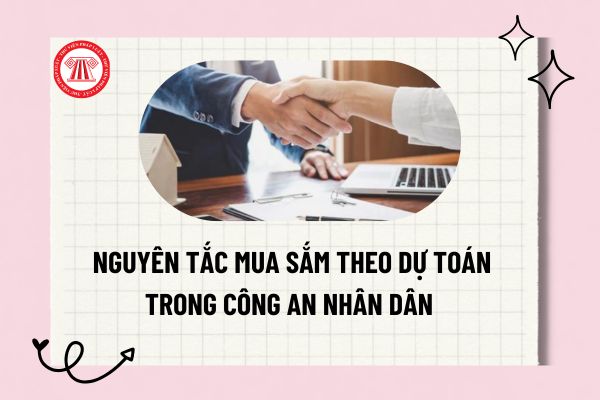 Pháp luật