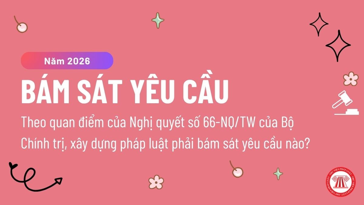 Pháp luật