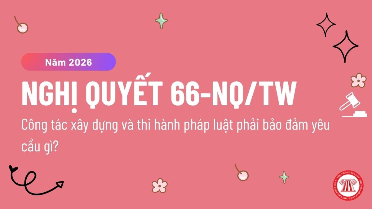 Pháp luật