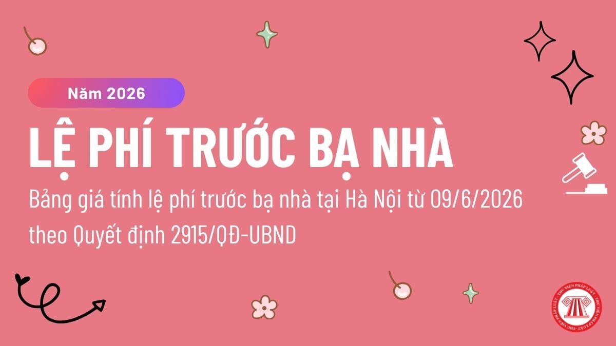 Pháp luật