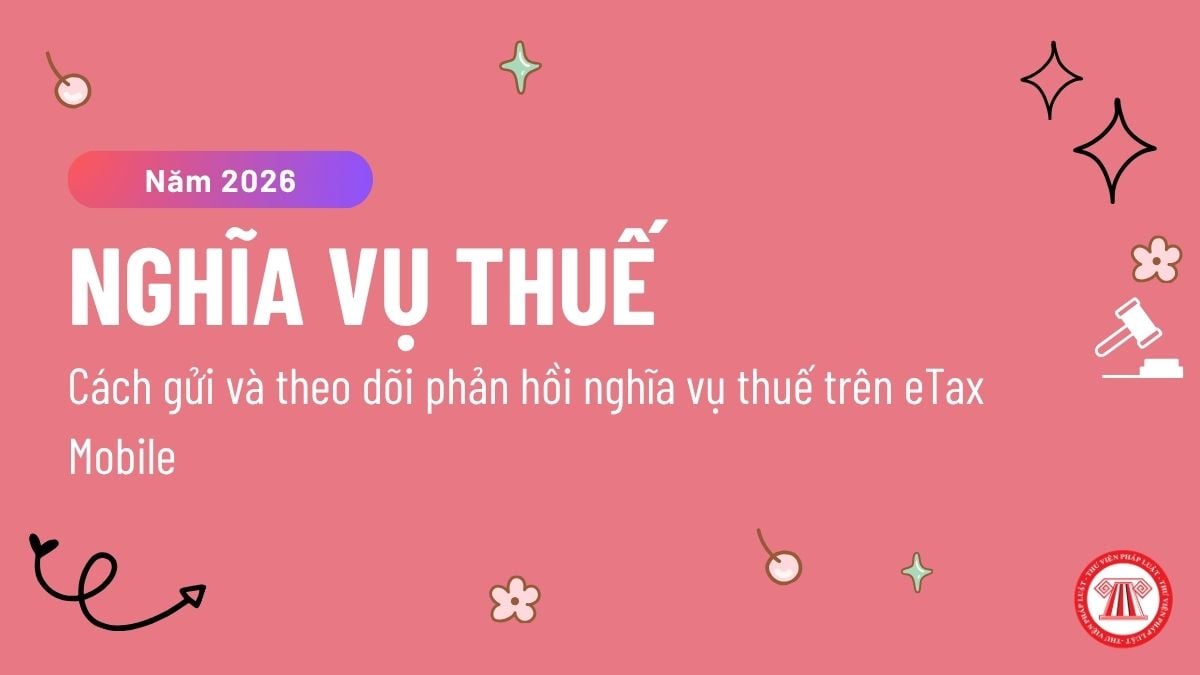 Pháp luật