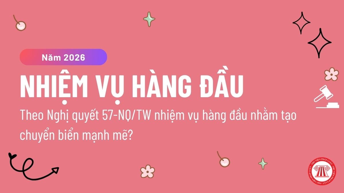 Pháp luật