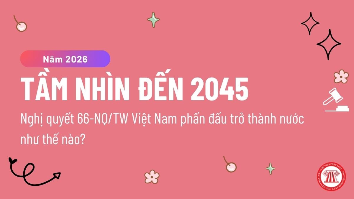 Pháp luật