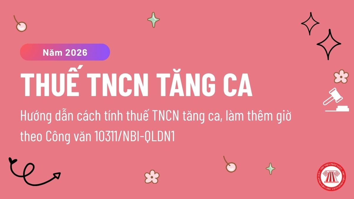 Pháp luật