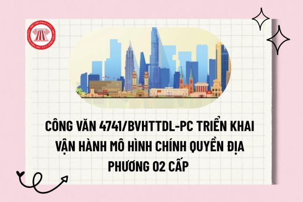 Pháp luật