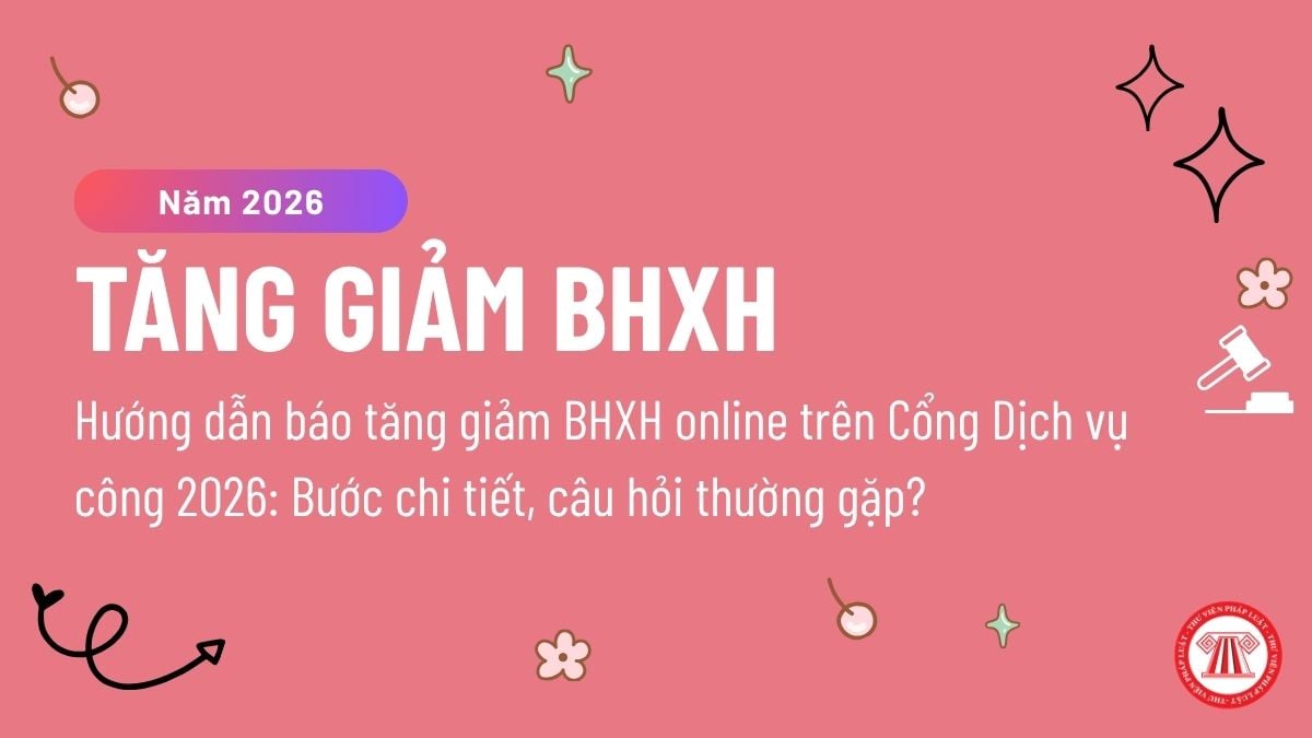 Pháp luật