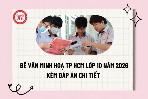 Pháp luật