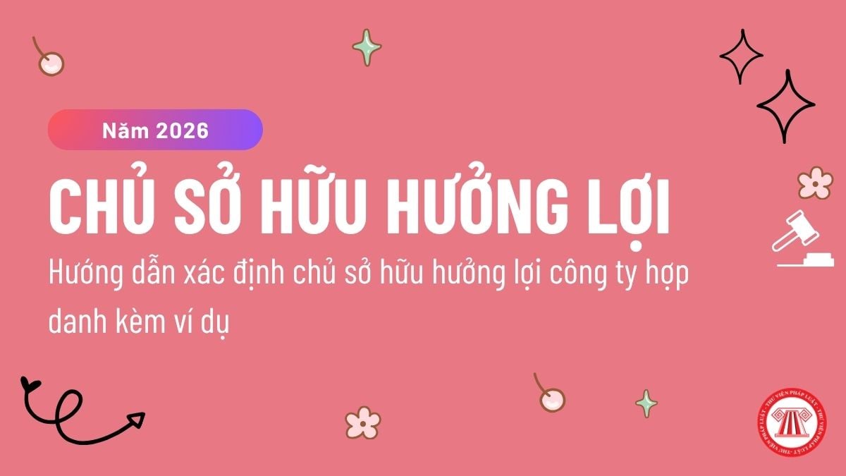 Pháp luật