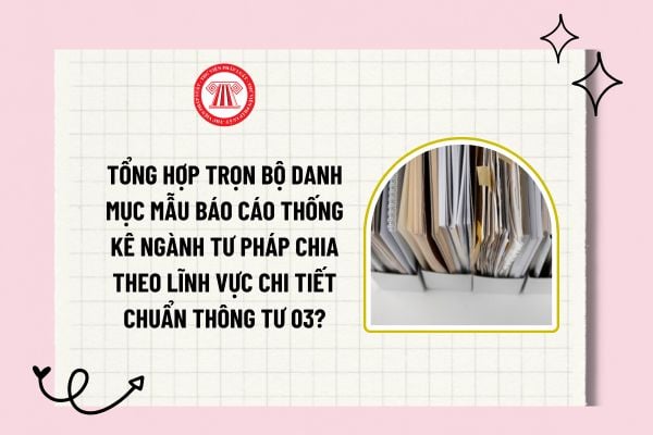 Tổng hợp trọn bộ danh mục mẫu báo cáo thống kê ngành tư pháp chia theo lĩnh vực chi tiết chuẩn Thông tư 03?