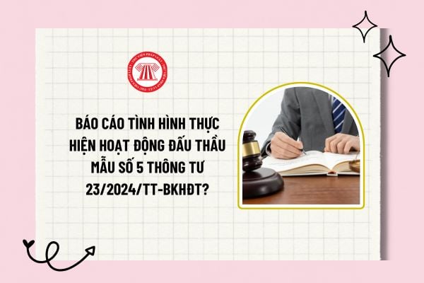 Báo cáo tình hình thực hiện hoạt động đấu thầu Mẫu số 5 Thông tư 23/2024/TT-BKHĐT? Tải về mẫu báo cáo?