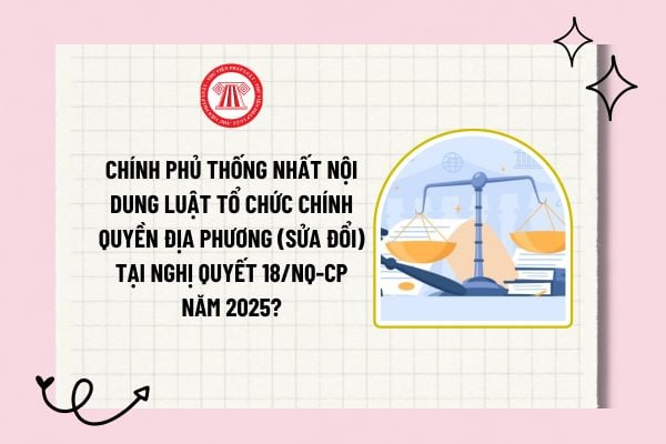 Chính phủ thống nhất nội dung Luật Tổ chức chính quyền địa phương (sửa đổi) tại Nghị quyết 18/NQ-CP năm 2025?