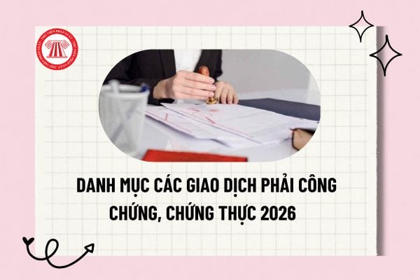 Pháp luật