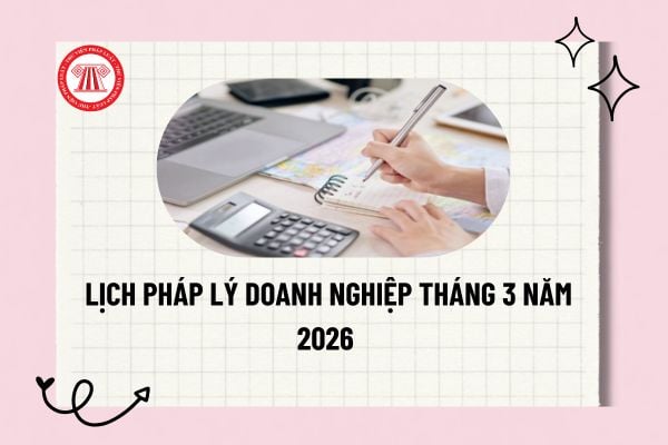 Pháp luật