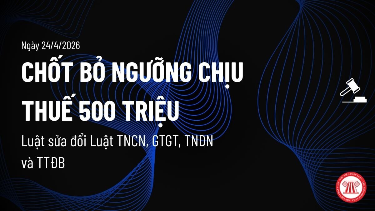 Pháp luật